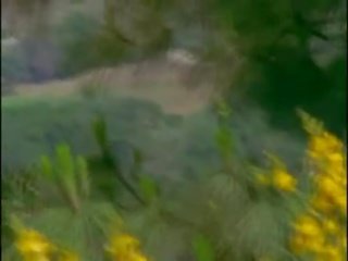 תשוקה cove s02e06 - יותר על ידי sunday