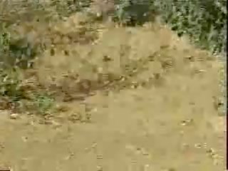 Horney collage xxx video in ferma - jp spl