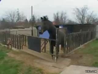 Angie Rough qualified to handle farm chap