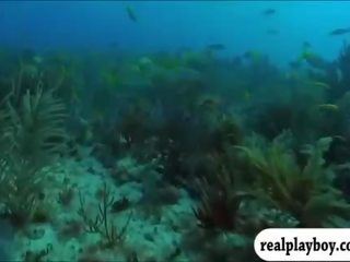 Enticing playmates spear fishing v zgoraj brez in obisk na crocs