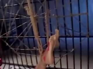 Grande cera para porcas asiática puta como ela lays amarrado para cima