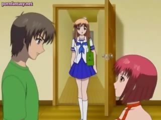 赤毛 アニメ 放浪者 吸い